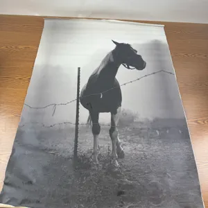 HORSE PRINT ON THICK CANVAS