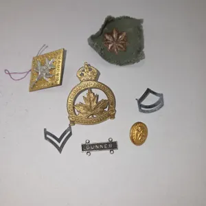 Canadian military pins & patches