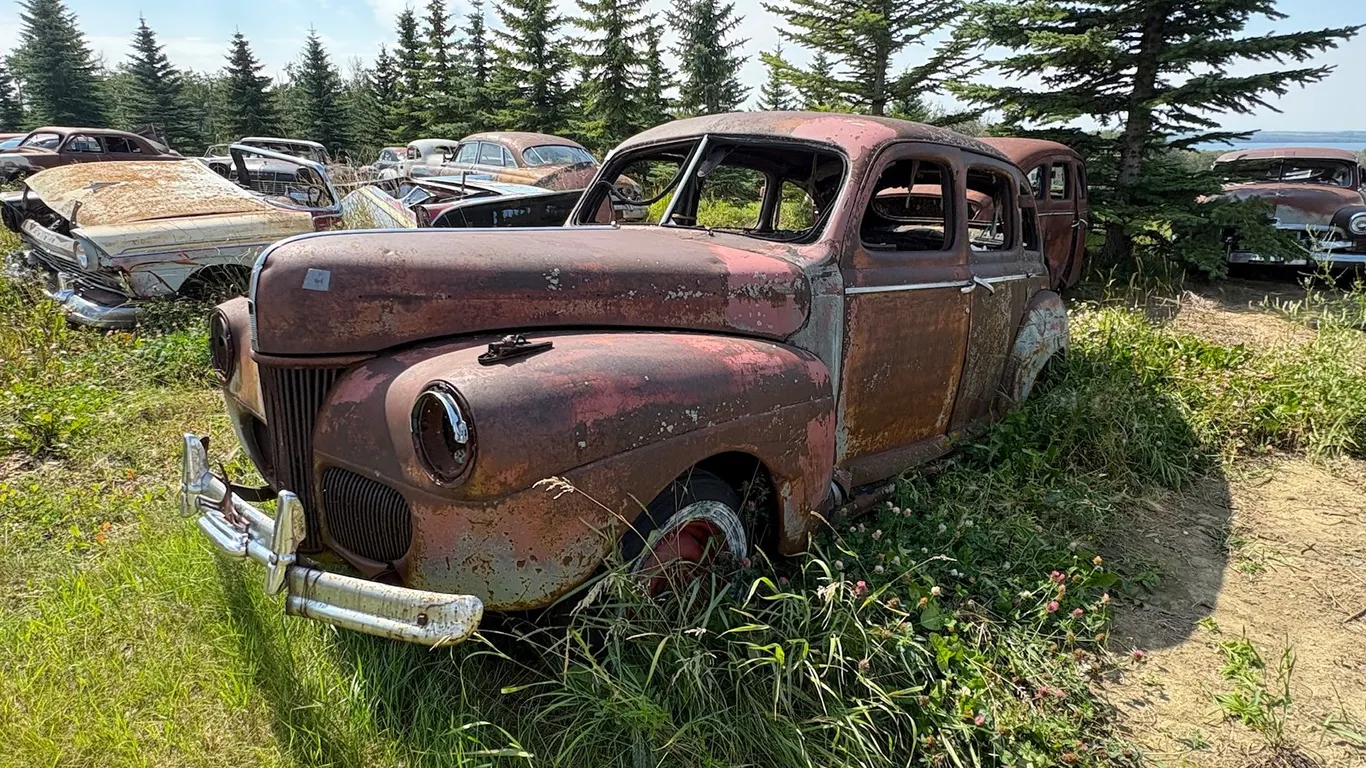 Lot 1293