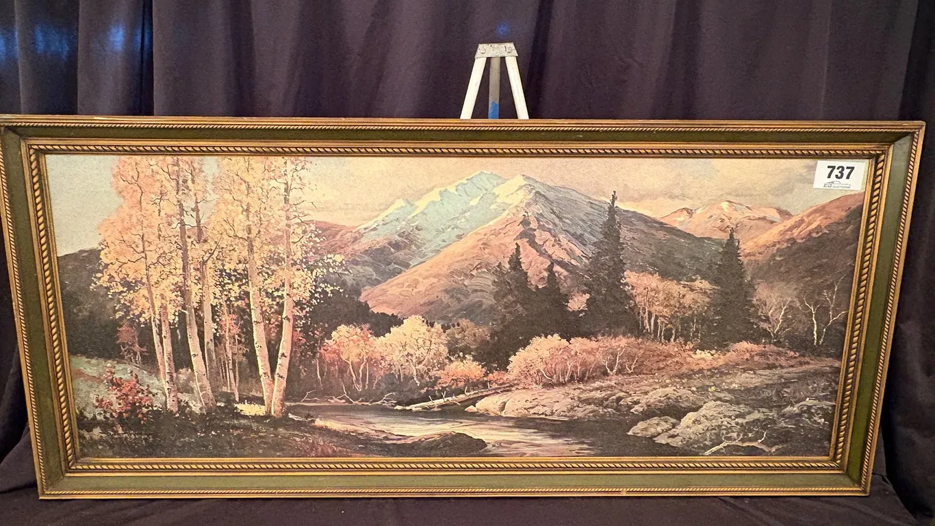 Lot 737