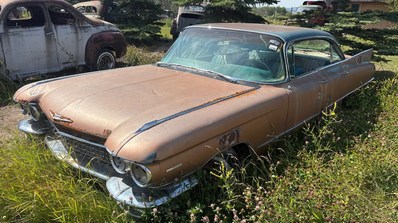 Lot 1296