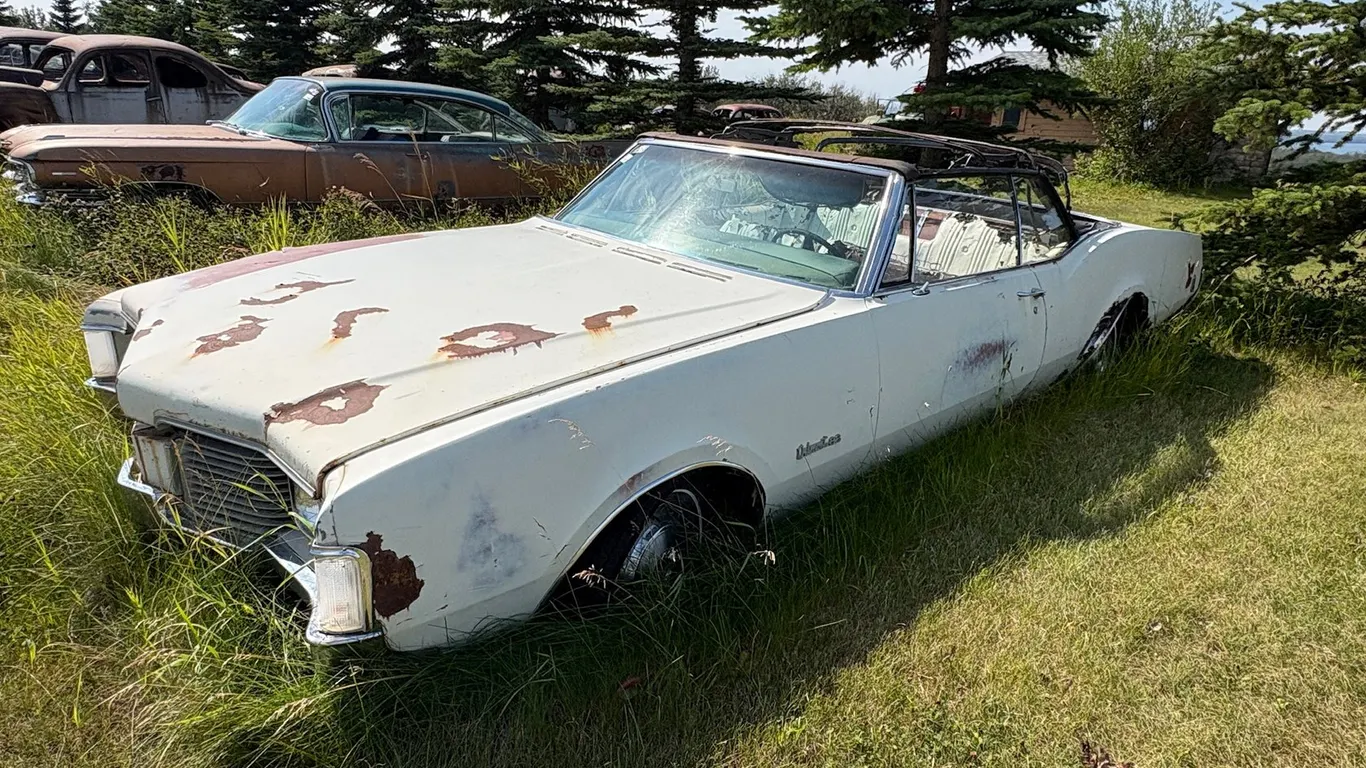 Lot 1297