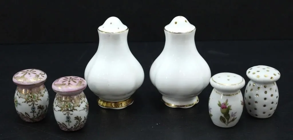 PAIRS PORCELAIN HANDPAINTED SALT & PEPPER SHAKERS