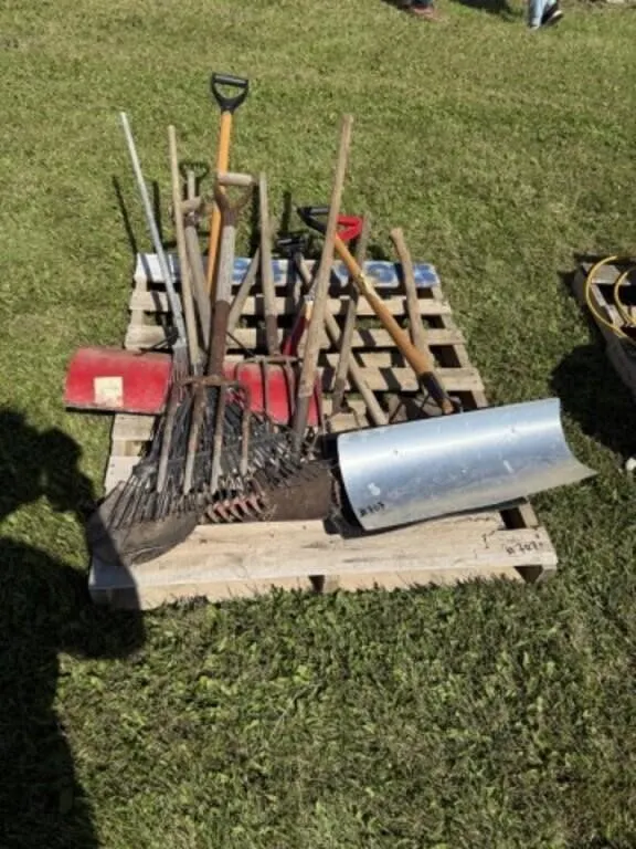 Pallet c/w Snow Shovels, Axe, Forks, Rakes and