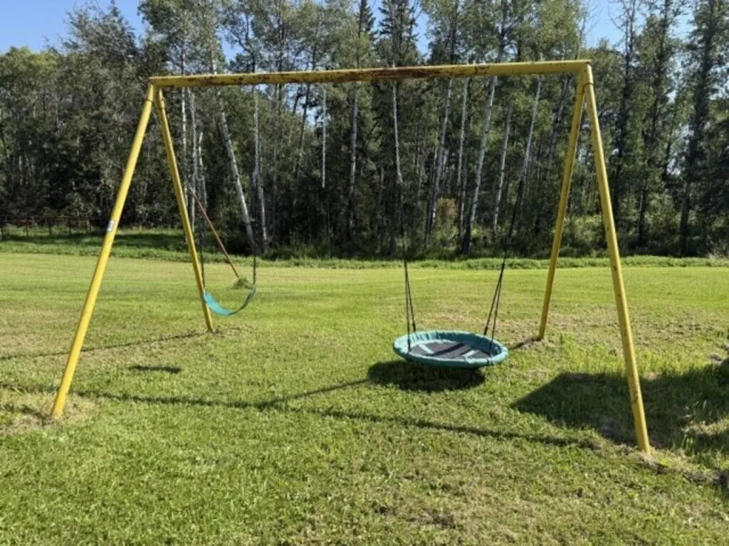 Swing Set (2 Seats, Steel Frame)