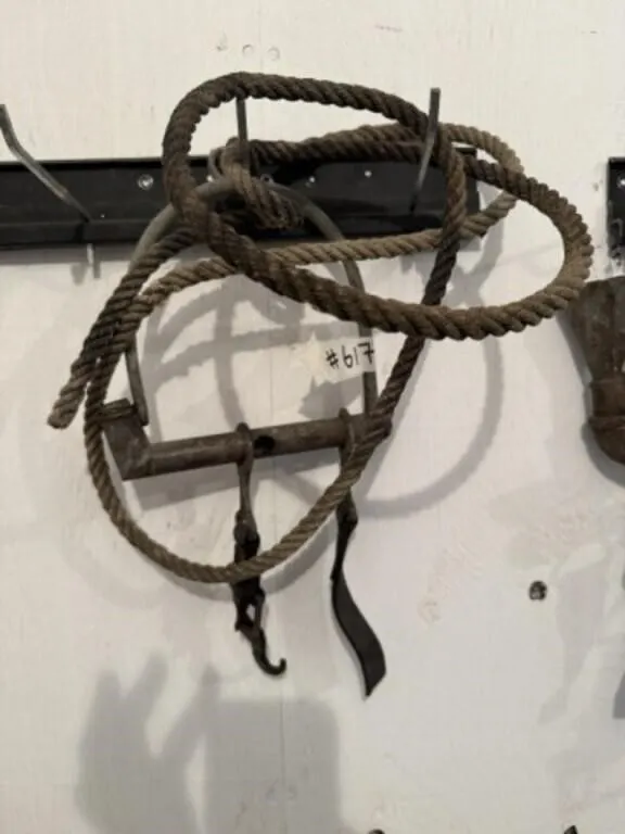 Medicine Horse Bit c/w Rope
