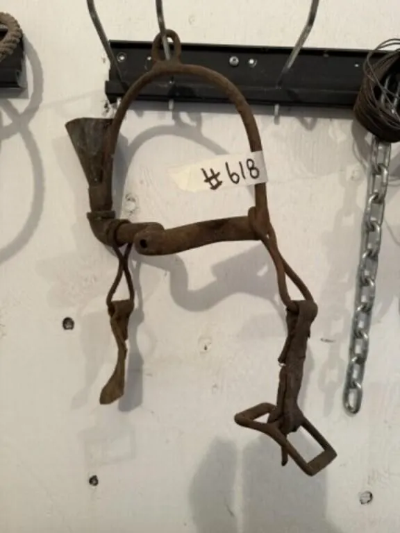 Medicine Horse Bit