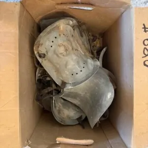 Box of Zinc Neck Protectors