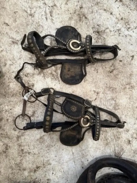 2 - Antique Heavy Draft Bridles