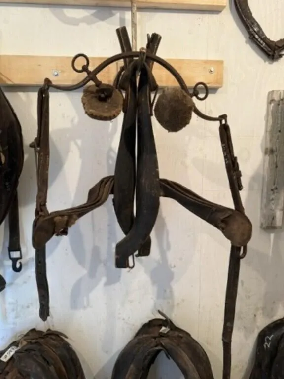 European (?) Harness