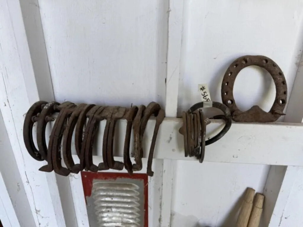 15 Assorted Draft Horseshoes and