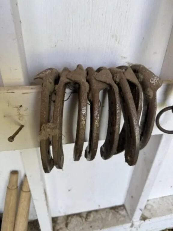 8 Draft Horseshoes - LIKE NEW