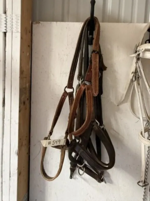 3 Leather Halters for Draft Size