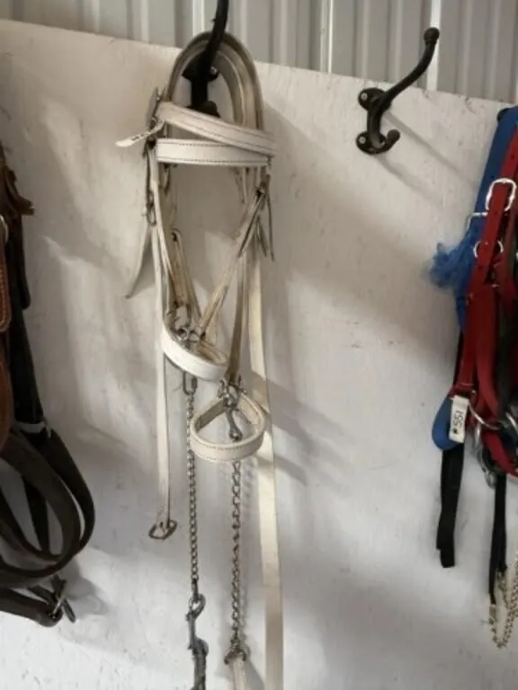 2 Draft Horse Show Halters