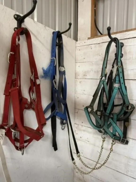 6 Nylon Halters Draft Size & 2 Leads