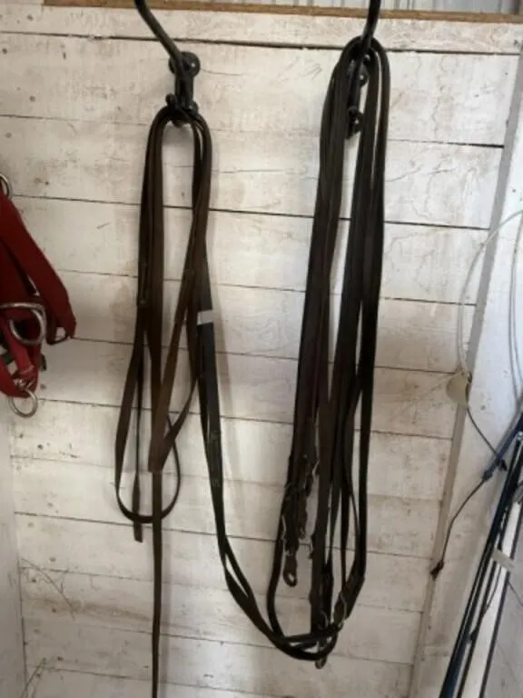 Leather Team Lines (Extra Long for Binder)
