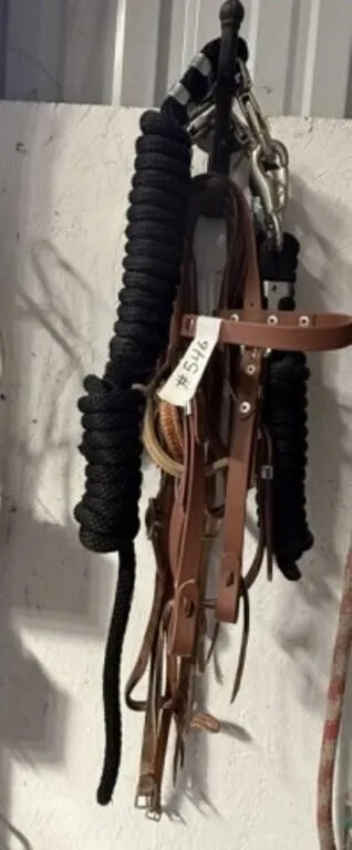 3 Bridles and 5 Halter Shanks for Light Horse