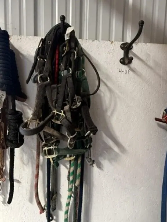 5 Halters & 8 Halter Shanks for Light Horse