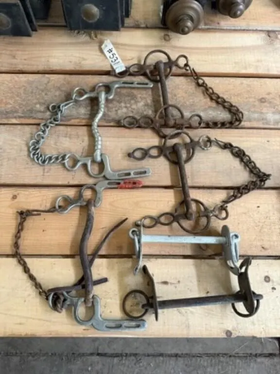 6 Assorted Horse Bits