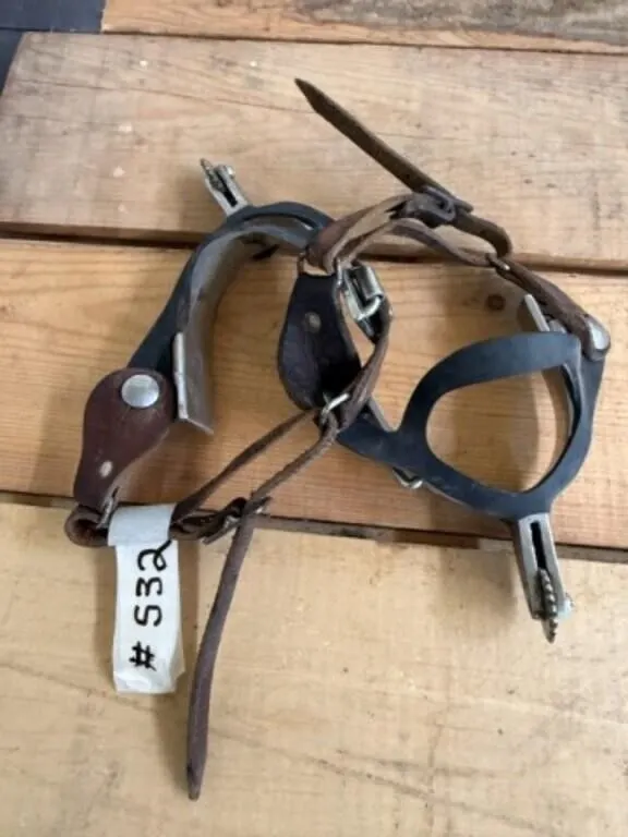 Set of Spurs