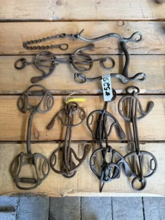 6 Assorted Horse Bits