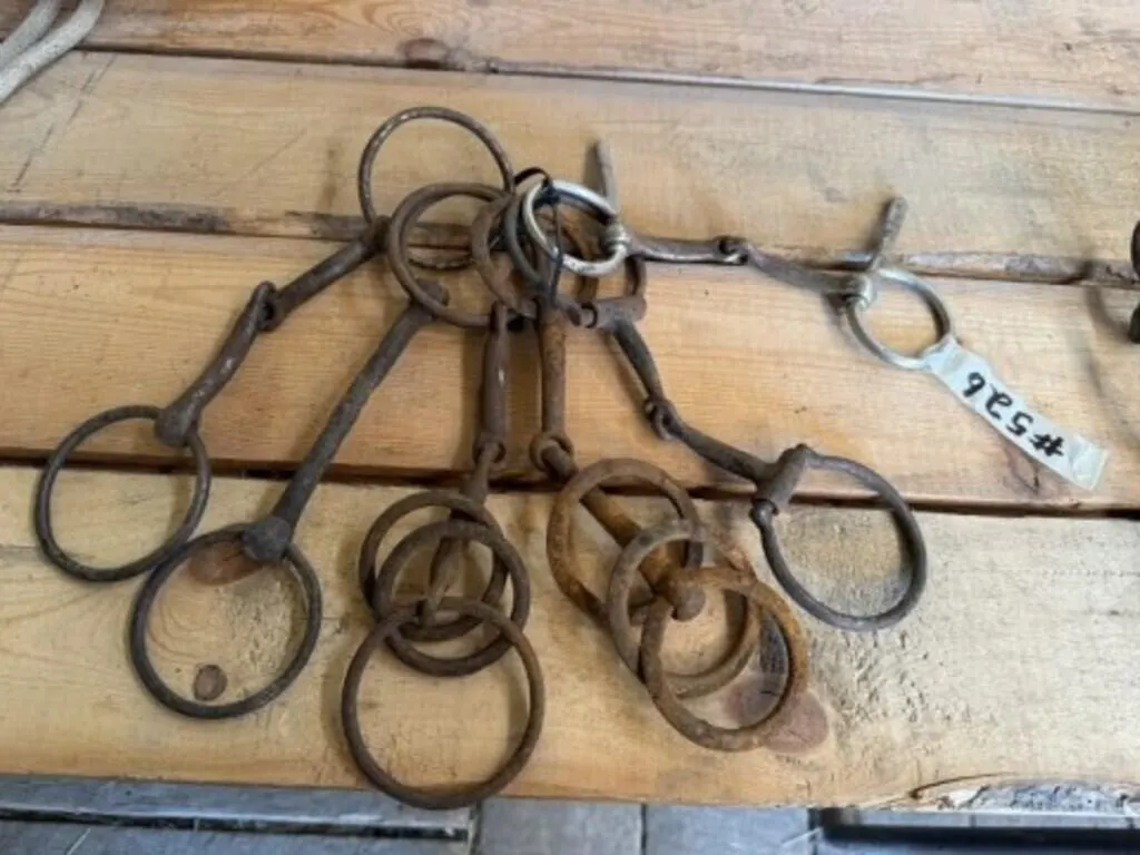 6 Assorted Horse Bits