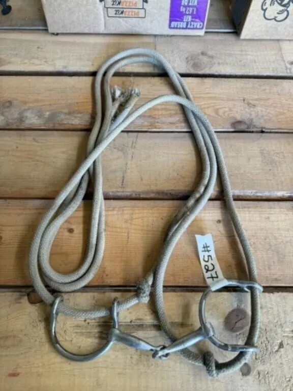 Horse Gag Bridle