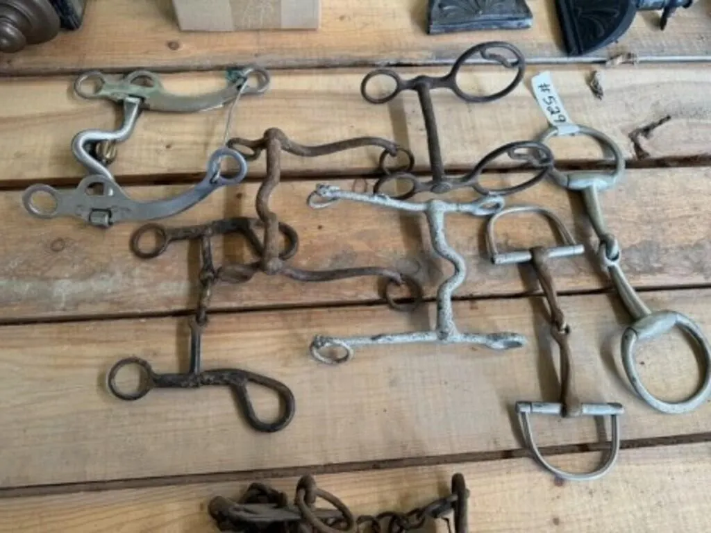 6 Assorted Horse Bits