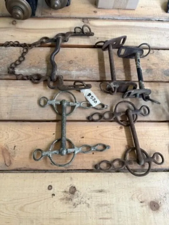 5 Assorted Horse Bits