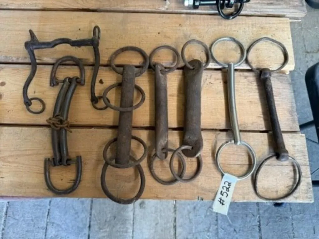 8 Assorted Horse Bits