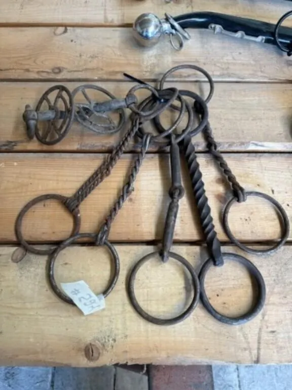 6 Assorted Horse Bits
