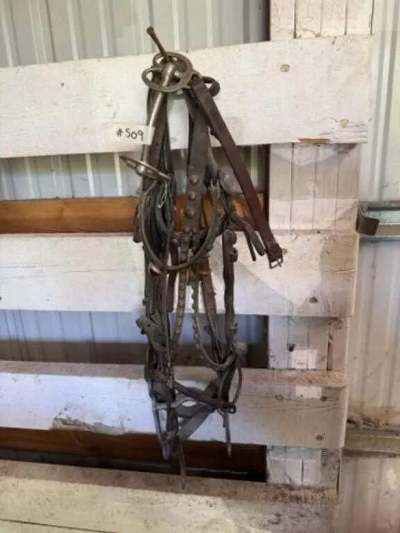 Antique Bridles (2 pieces)
