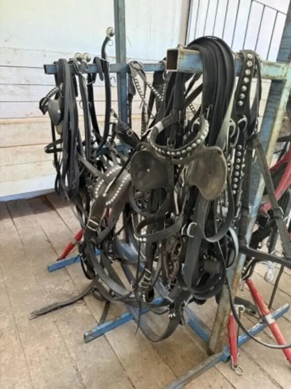Nylon Harness Team c/w Spots and