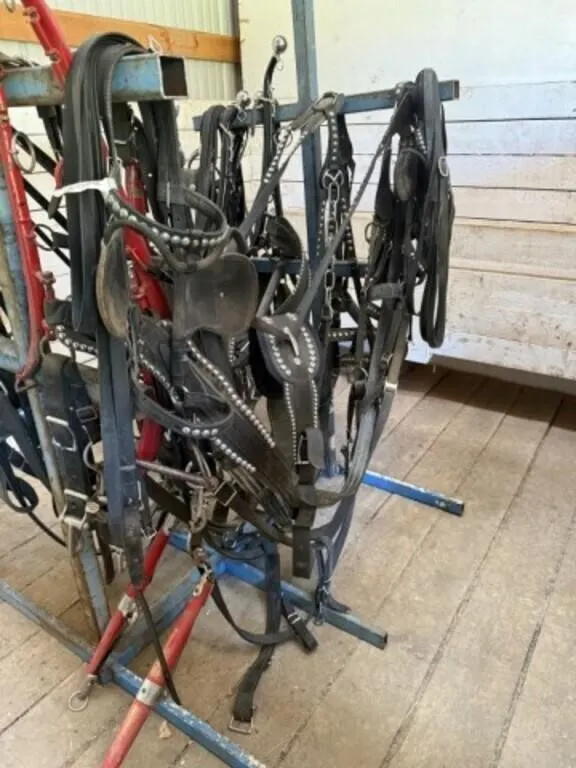 Nylon Harness Team c/w Spots and