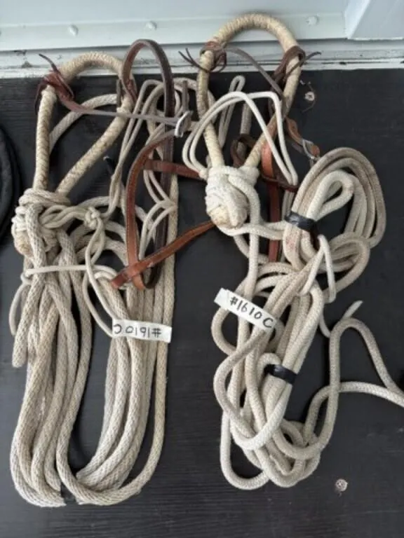 2 Bozel Bridles