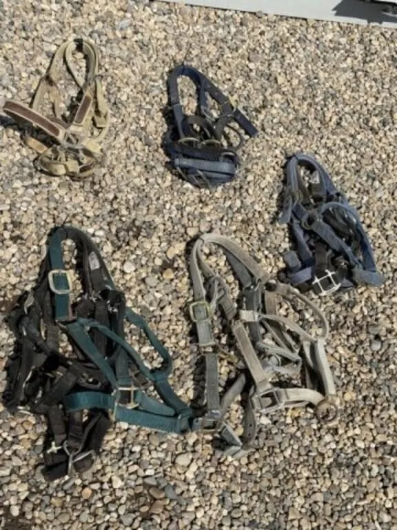 12 Nylon Halters
