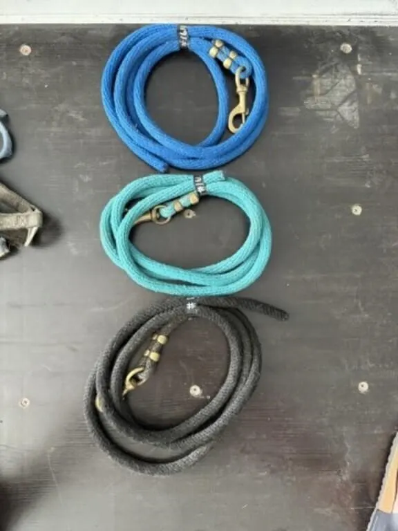 3 Rope Leads