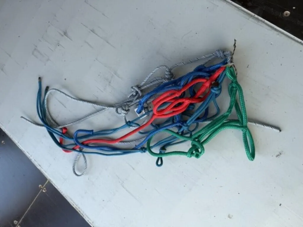 5 UNUSED Halters