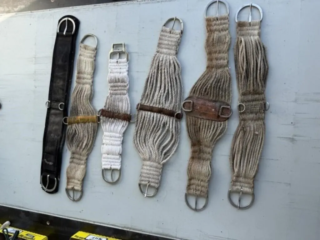 6 Cinches