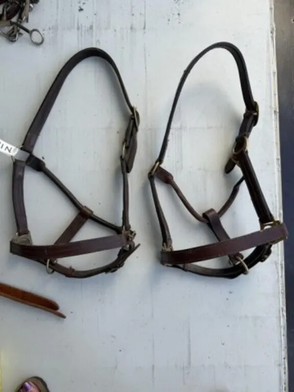 Leather Halter c/w Brass Buckles /EACH HALTER