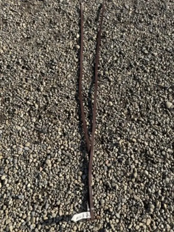 UNUSED Leather Reins
