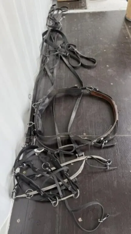 Complete Set of Light Horse Single Driving Harness