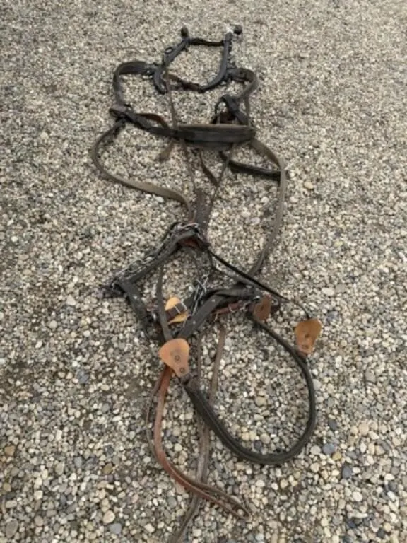 Older Single Driving Harness c/w Hames