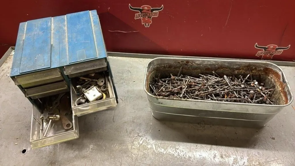 Organizer w/Contents & Tray of Nails.