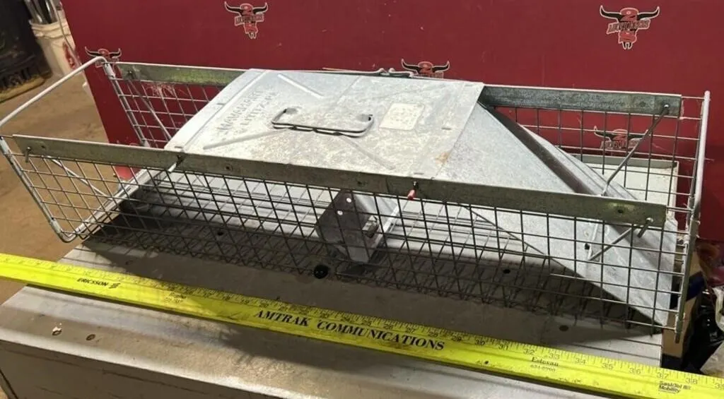 Double Sided Live Trap 31"L x 7"W x 7"H