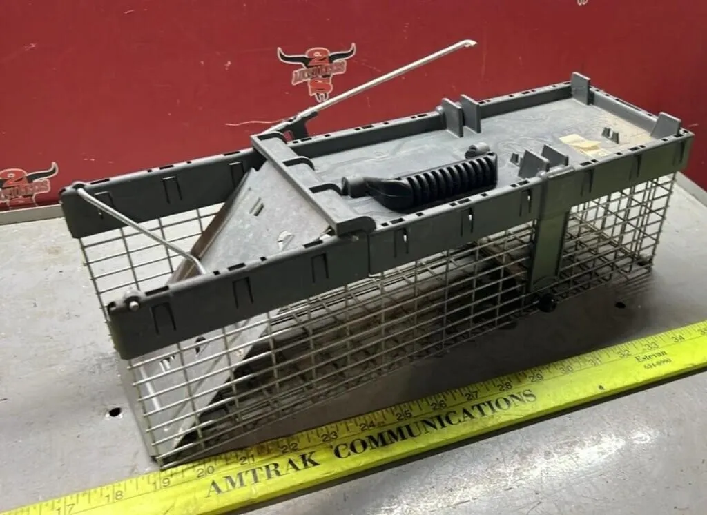 Small Live Trap