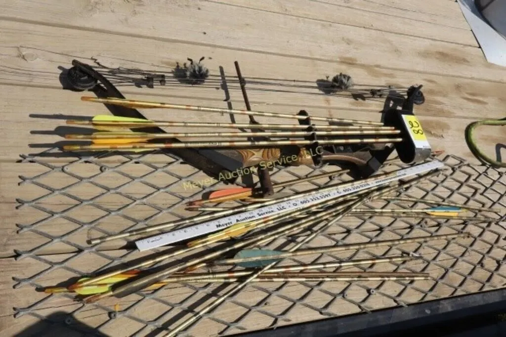 Browning Compound bow & arrows