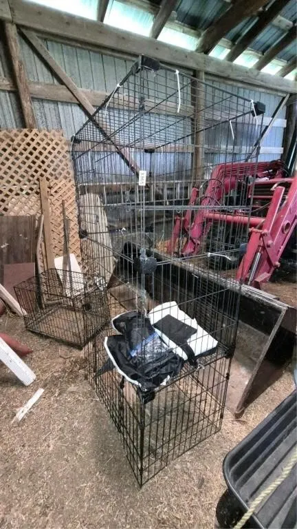 Cat Catio Cage