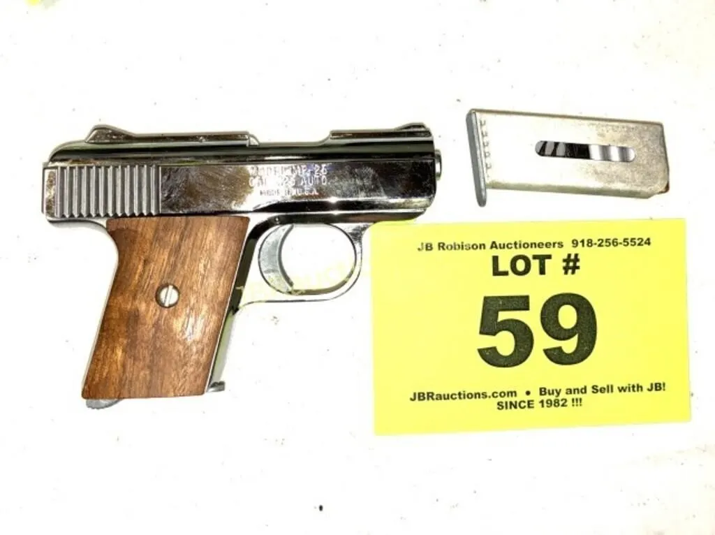 RAVEN ARMS MODEL MP-25 .25 AUTO PISTOL