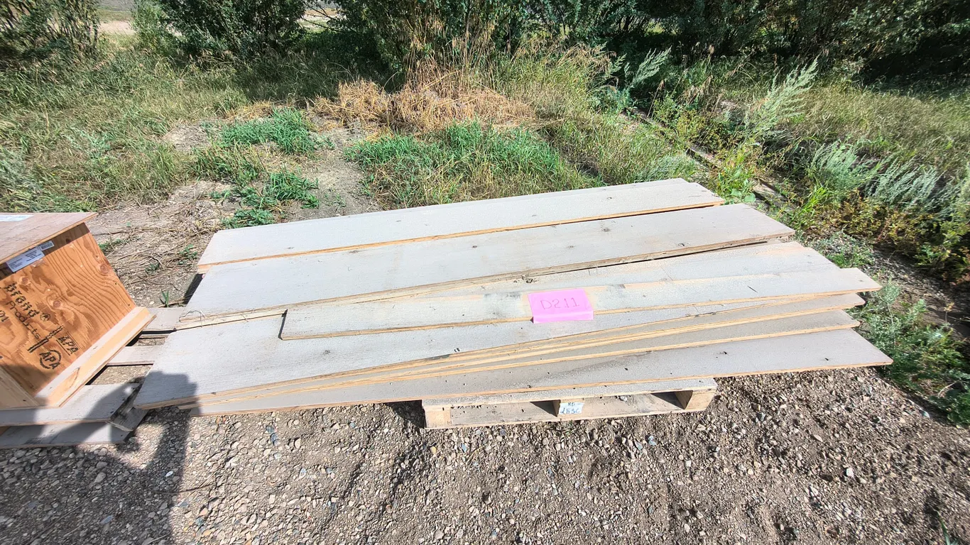 Plywood - cut for forms
